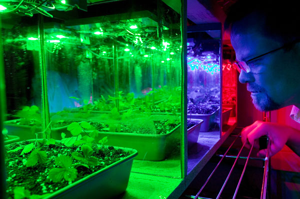 Astronauts can grow vegetables with LED lighting technologies Astronauts can grow vegetables with LED lighting technologies